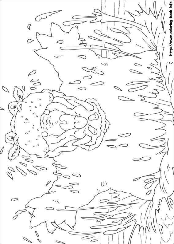 Little Polar Bear coloring picture